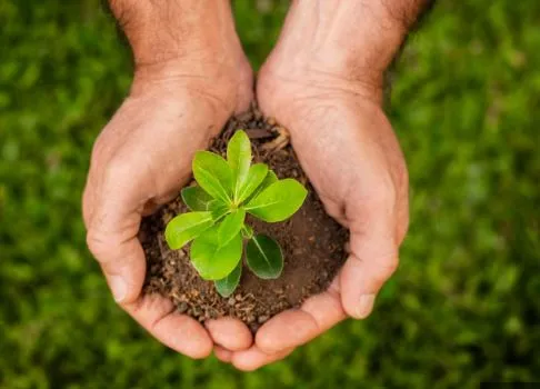 Licenciamento ambiental no Brasil:a Lei Geral e o julgamento no STF-Parte1
