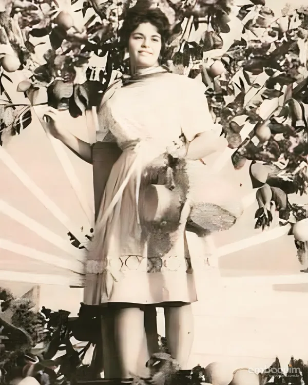 Vera Chagas Barreto